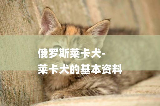 俄羅斯萊卡犬-
萊卡犬的基本資料