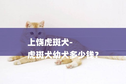 上饒虎斑犬-
虎斑犬幼犬多少錢？