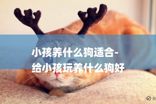 小孩養什么狗適合-
給小孩玩養什么狗好
