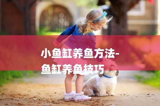 小魚缸養魚方法-
魚缸養魚技巧