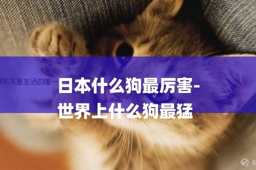 日本什么狗最厲害-
世界上什么狗最猛