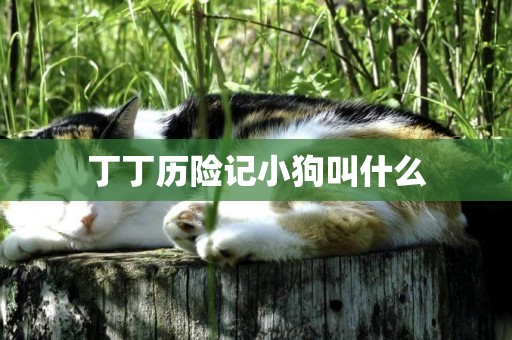 丁丁歷險記小狗叫什么