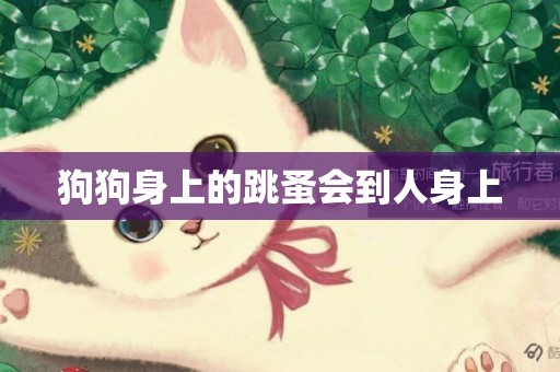 狗狗身上的跳蚤會到人身上