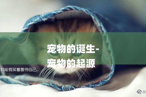 寵物的誕生-
寵物的起源