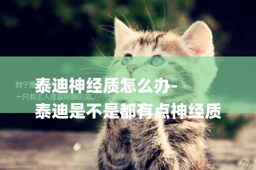 泰迪神經質怎么辦-
泰迪是不是都有點神經質