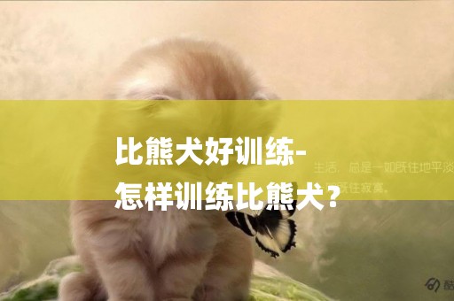 比熊犬好訓練-
怎樣訓練比熊犬？