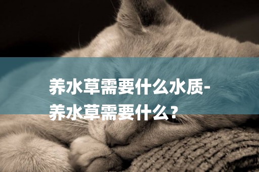 養水草需要什么水質-
養水草需要什么？