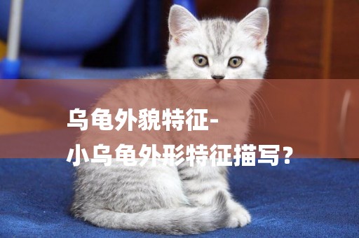 烏龜外貌特征-
小烏龜外形特征描寫？