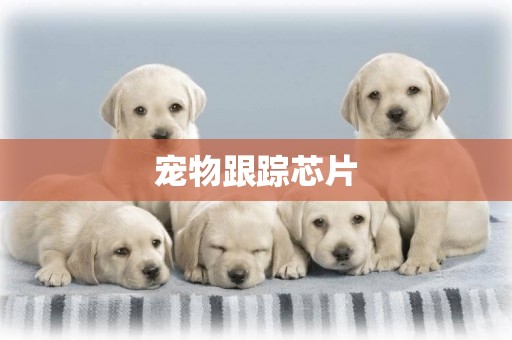 寵物跟蹤芯片