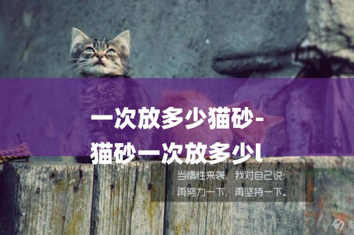 一次放多少貓砂-
貓砂一次放多少l
