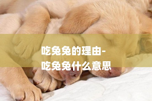 吃兔兔的理由-
吃兔兔什么意思