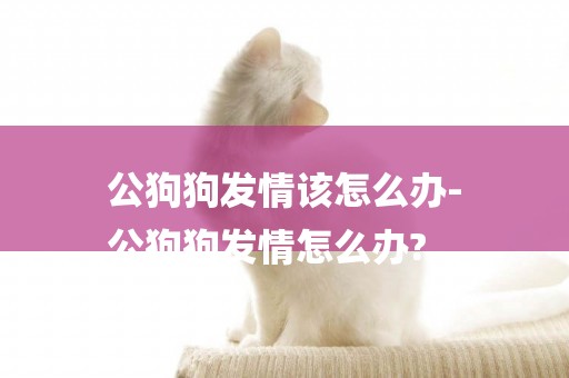公狗狗發情該怎么辦-
公狗狗發情怎么辦?