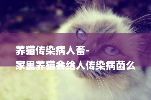 養貓傳染病人畜-
家里養貓會給人傳染病菌么