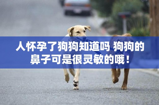 人懷孕了狗狗知道嗎 狗狗的鼻子可是很靈敏的哦！