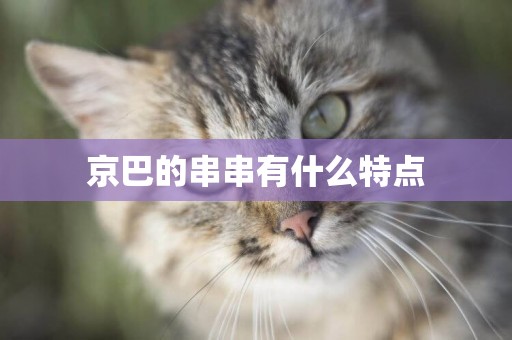 京巴的串串有什么特點