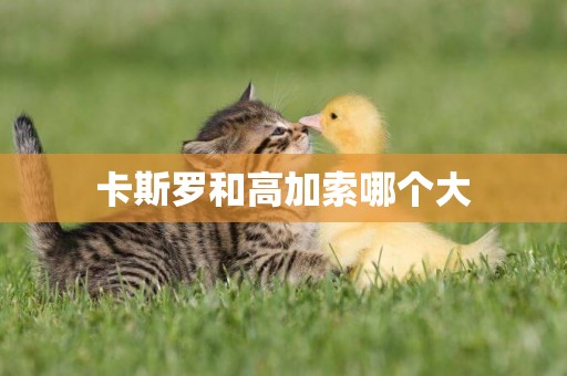 卡斯羅和高加索哪個大