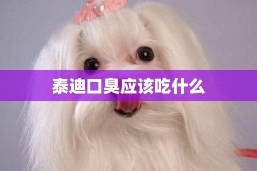泰迪口臭應該吃什么