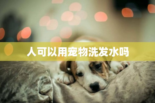 人可以用寵物洗發水嗎