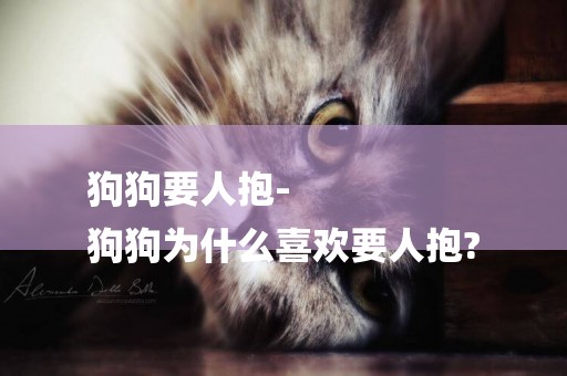 狗狗要人抱-
狗狗為什么喜歡要人抱?