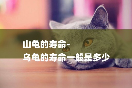 山龜的壽命-
烏龜的壽命一般是多少