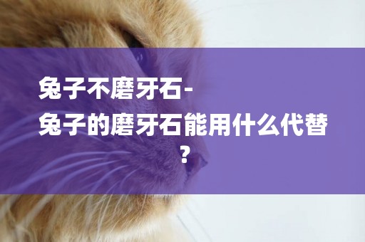 兔子不磨牙石-
兔子的磨牙石能用什么代替？