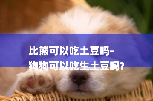 比熊可以吃土豆嗎-
狗狗可以吃生土豆嗎?