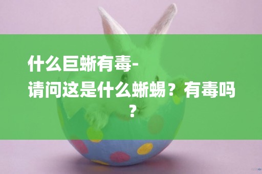 什么巨蜥有毒-
請問這是什么蜥蜴？有毒嗎？