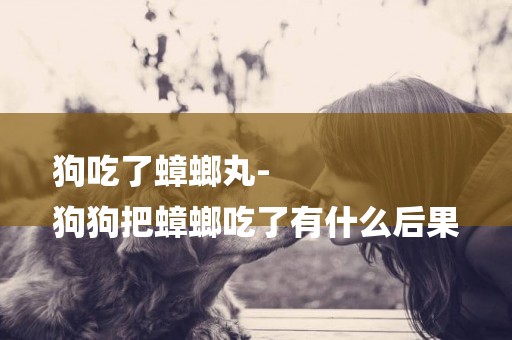 狗吃了蟑螂丸-
狗狗把蟑螂吃了有什么后果