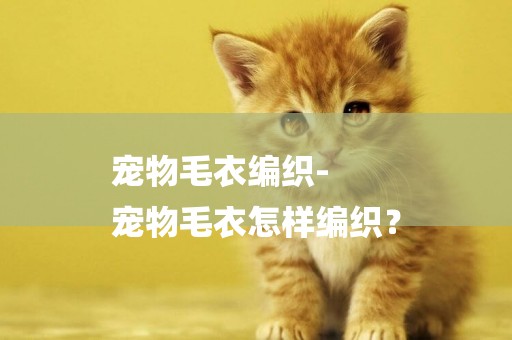 寵物毛衣編織-
寵物毛衣怎樣編織？
