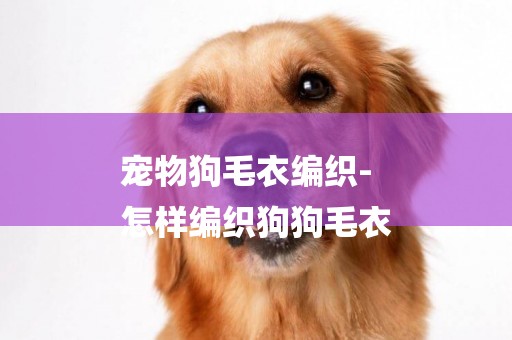 寵物狗毛衣編織-
怎樣編織狗狗毛衣