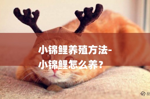 小錦鯉養殖方法-
小錦鯉怎么養？