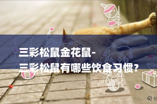 三彩松鼠金花鼠-
三彩松鼠有哪些飲食習慣？
