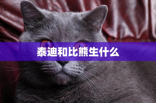 泰迪和比熊生什么