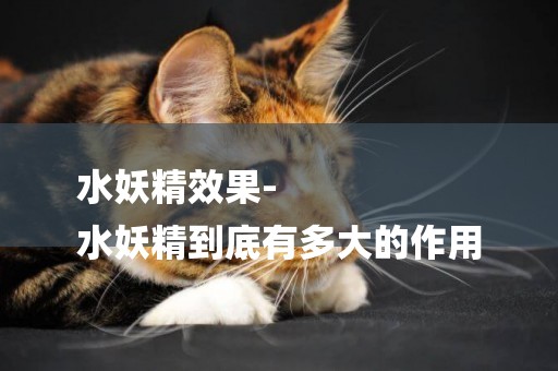 水妖精效果-
水妖精到底有多大的作用