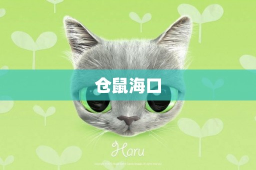 倉鼠海口