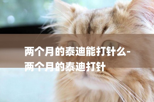 兩個月的泰迪能打針么-
兩個月的泰迪打針