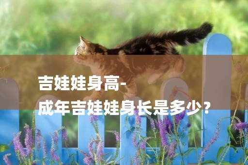 吉娃娃身高-
成年吉娃娃身長是多少？