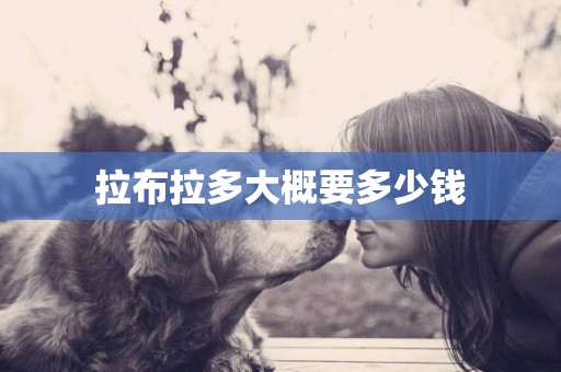 拉布拉多大概要多少錢