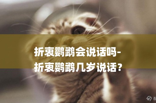 折衷鸚鵡會說話嗎-
折衷鸚鵡幾歲說話？