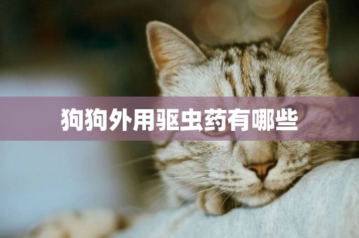 狗狗外用驅蟲藥有哪些