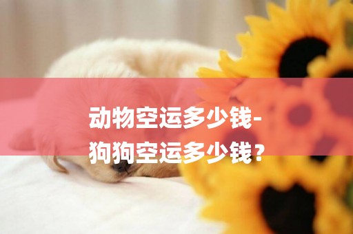 動物空運多少錢-
狗狗空運多少錢？