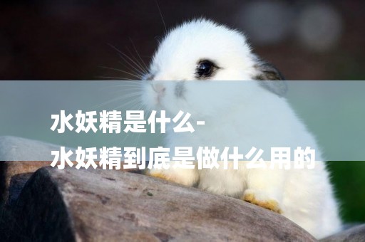 水妖精是什么-
水妖精到底是做什么用的