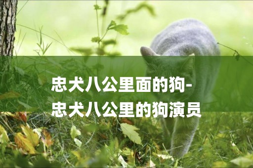 忠犬八公里面的狗-
忠犬八公里的狗演員
