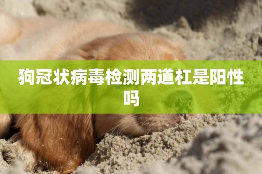 狗冠狀病毒檢測兩道杠是陽性嗎