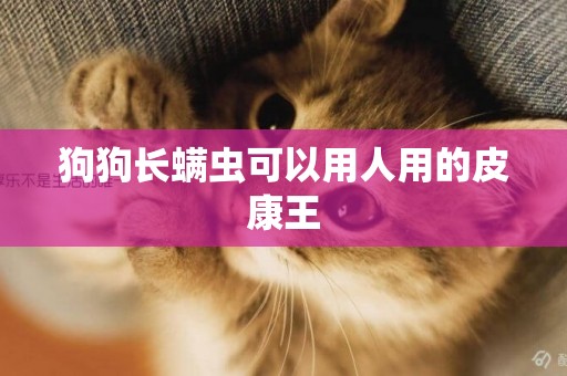 狗狗長螨蟲可以用人用的皮康王