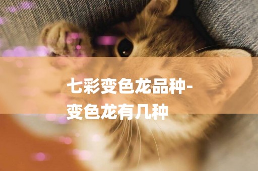 七彩變色龍品種-
變色龍有幾種