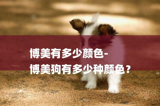 博美有多少顏色-
博美狗有多少種顏色？
