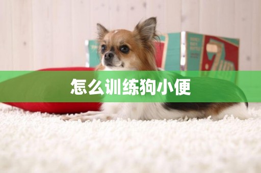 怎么訓練狗小便
