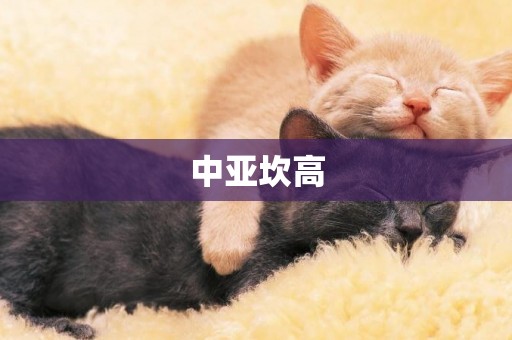 中亞坎高