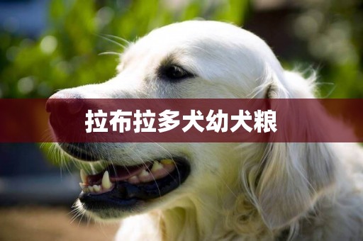 拉布拉多犬幼犬糧